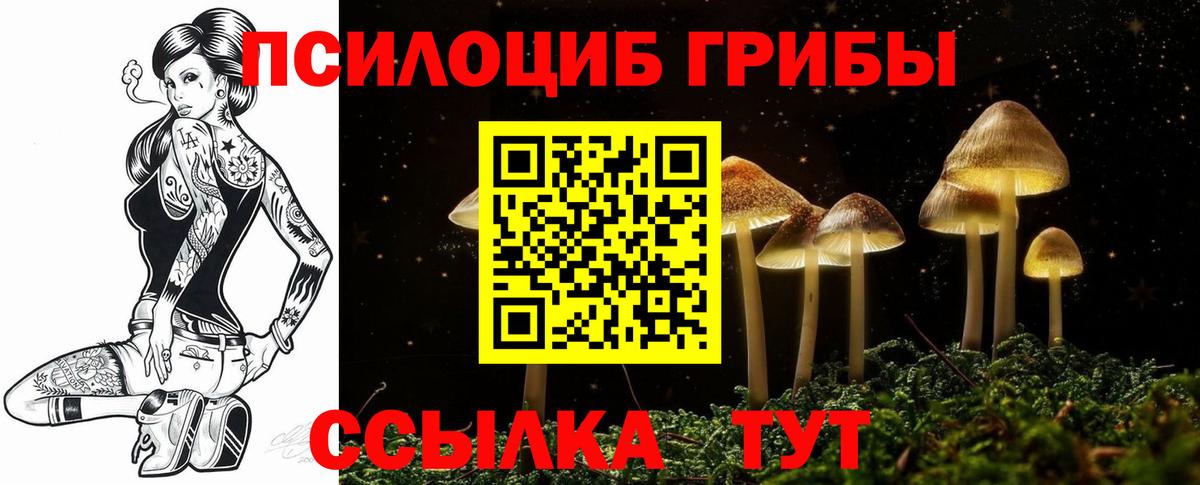 хочу   Псилоцибиновые грибы Psilocybine cubensis  Вход с VPN  Павловский Посад  Псилоцибиновые грибы Cubensis 