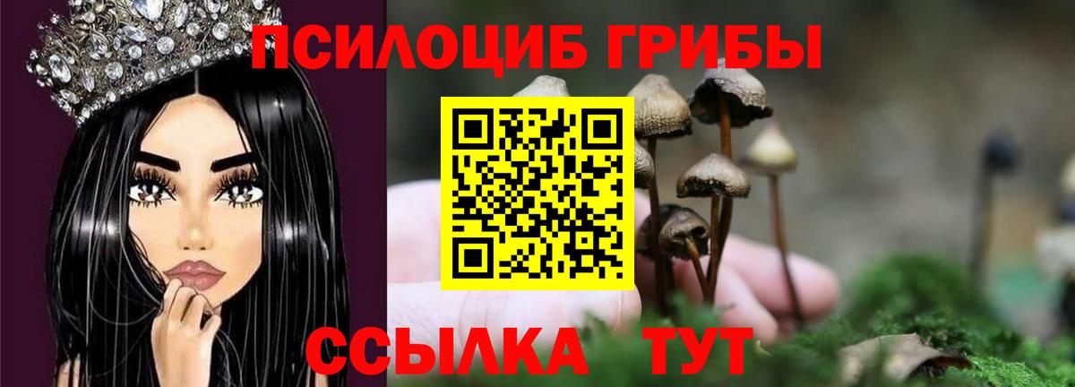 Псилоцибиновые грибы ЛСД Павловский Посад